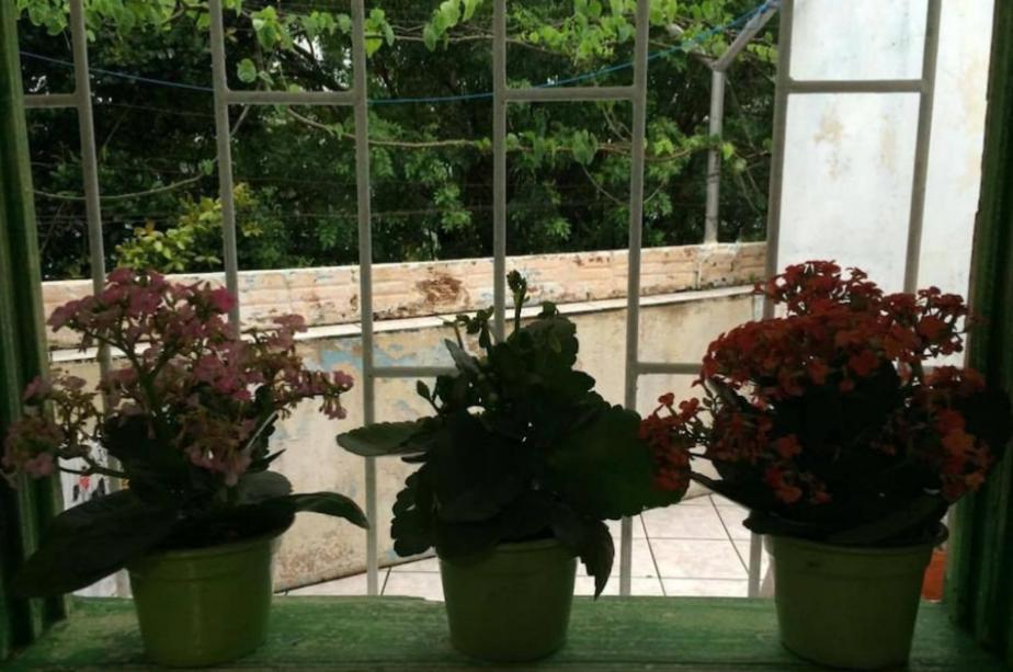 Quarto Em Casa Compartilhada Florianopolis Ngoại thất bức ảnh